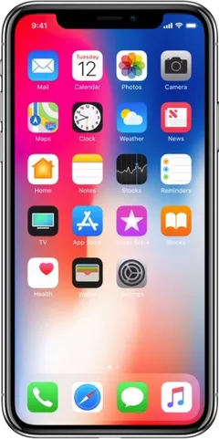 iPhone X