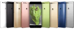 P10  2017 
