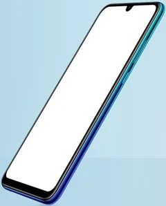 P Smart  2019 
