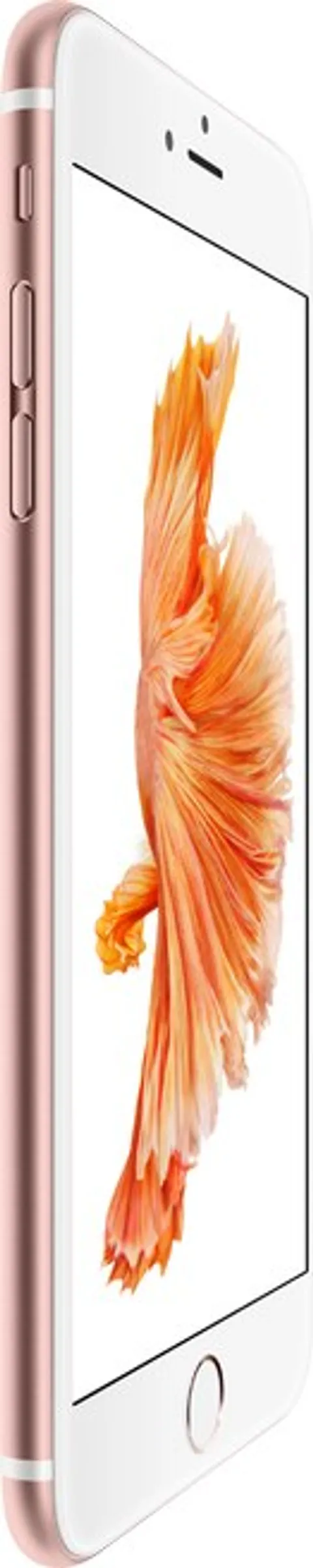 iPhone 6S Plus repair
