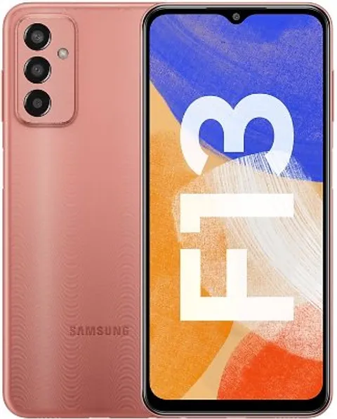 F13  E135 - 2022  repair